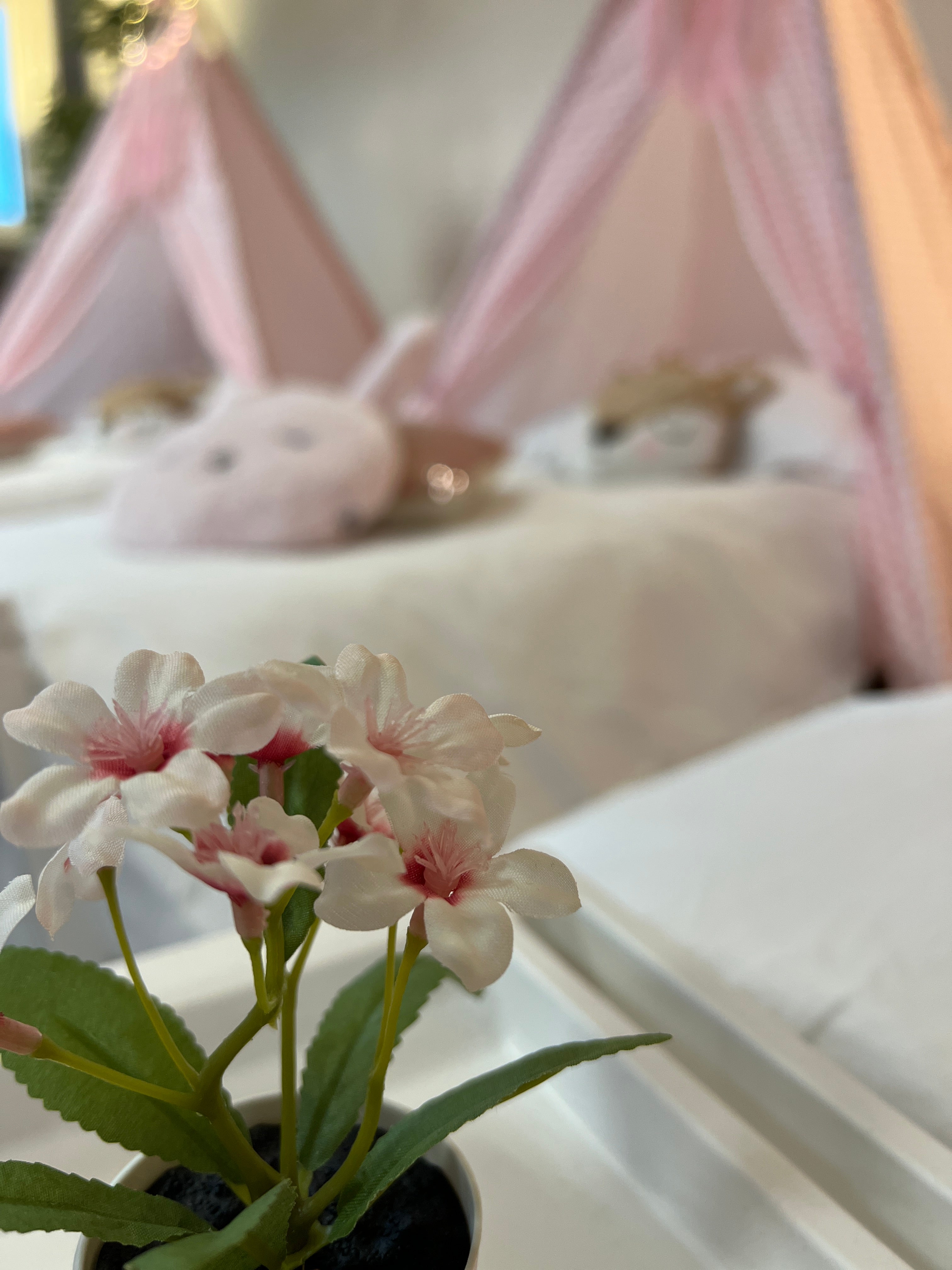 Sweet pink dreams